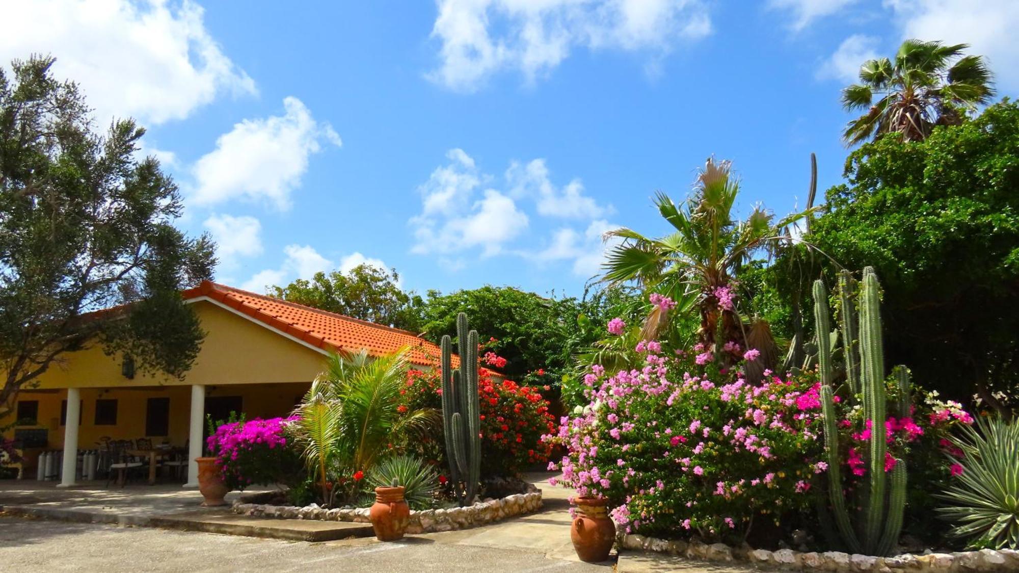 Lagun Blou Resort Curacao Exterior photo